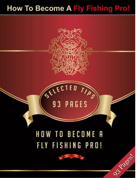 Become A Fly Fishing Pro With These Selected Tips